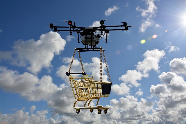 Delivery drone